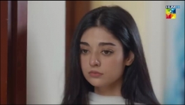 Mere Damad - Episode 09